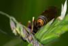 234871 – Photo : Jessica Joachim – France (09)